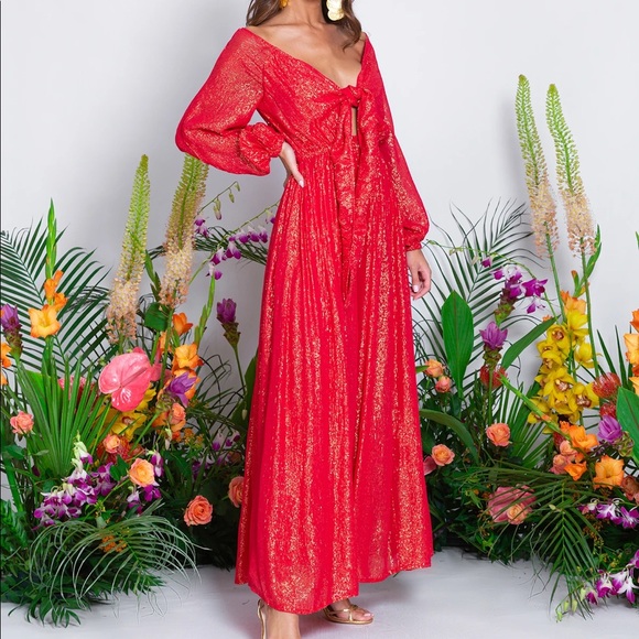 NWT - Sold Out - Sundress Victorie Long Maxi Dress! - Picture 2 of 4